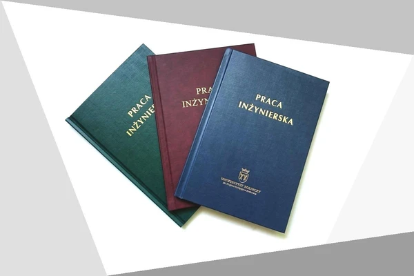 grafika ilustracyjna - praca inżynierska