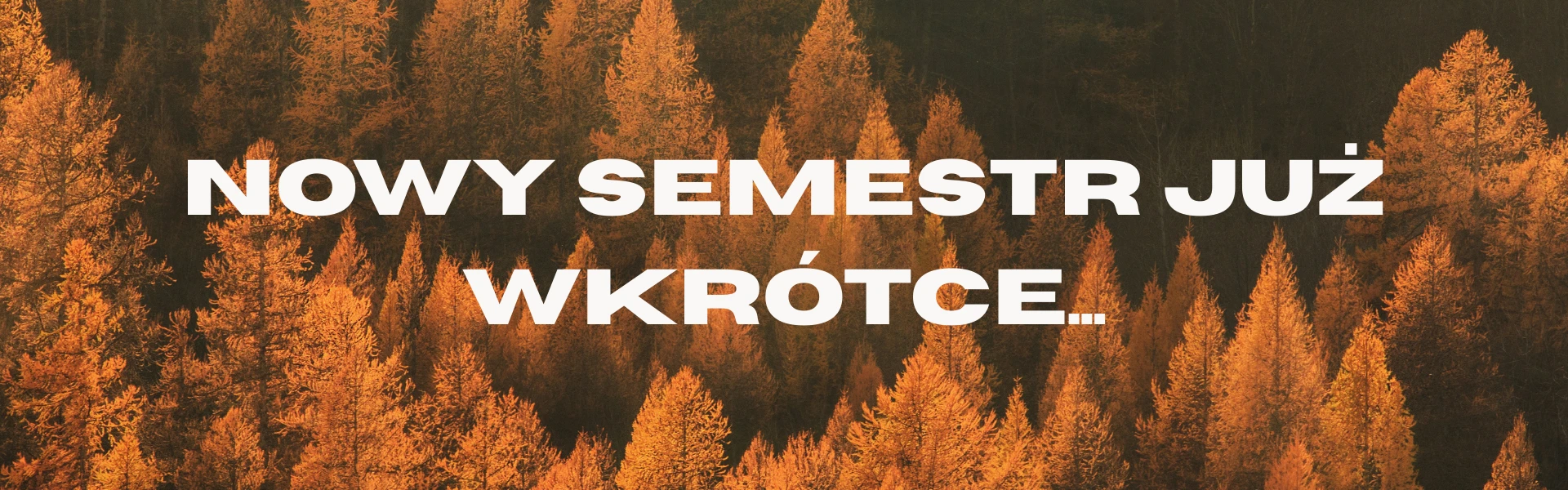 Nowy semestr już wkrótce...