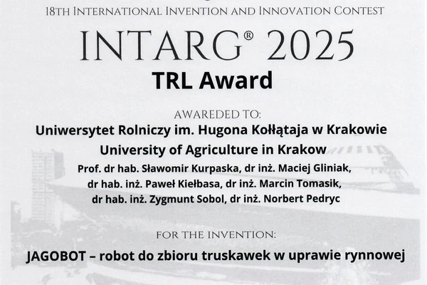 grafika ilustracyjna