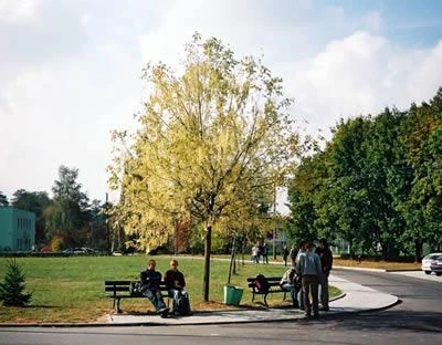 Przewodnik dendrologiczny