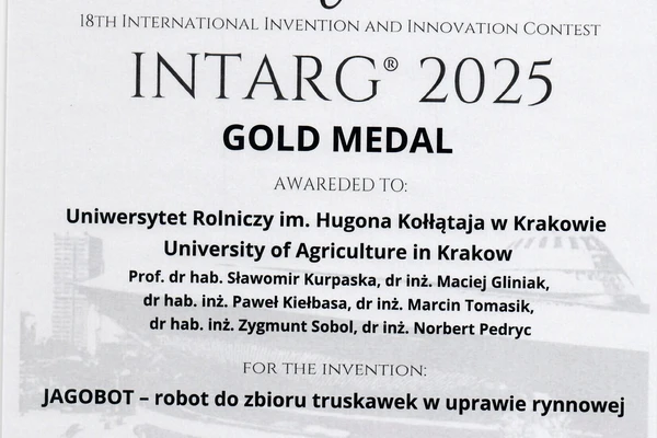 grafika ilustracyjna